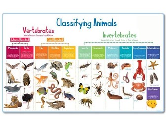 Year 6 - Classification of Living Things