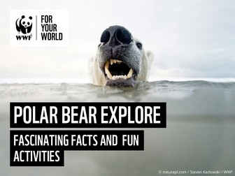 All about Polar Bears - WWF Explore Activity Poster