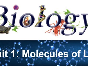 Biological Molecules