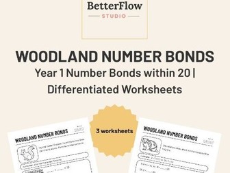 Year 1 Number Bonds to 20: Differentiated