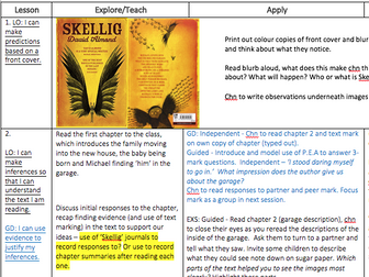UKS2 Skellig English, reading, guided reading unit of work