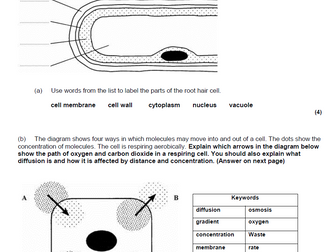 Diffusion and cells easy deep mark 6 mark question for GCSE Biology or combined science