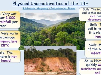 GCSE 1-9 AQA Ecosystems and Tropical Rainforests Unit