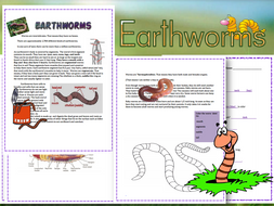 Earth Worms