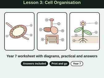 lesson 3 Year 7 Cell Organisation Worksheet + Answers