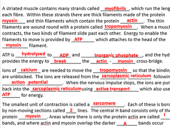 New Biology A Level OCR 5.5.11 Muscle contraction