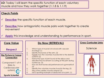 Edexcel GCSE PE - Component 1 - Topic 1 - Lesson 7 Muscles