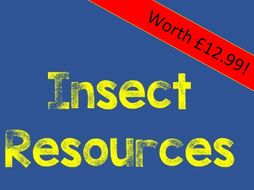Butterfly Art Resources
