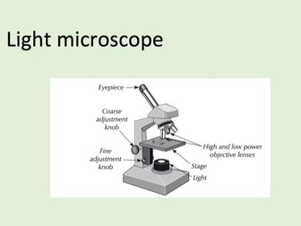 B1 AQA Lesson 1: Microscopy