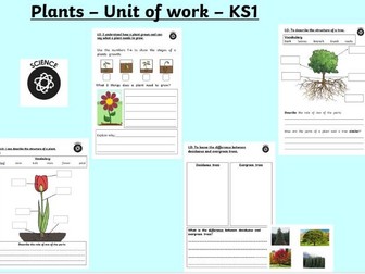 KS1 Science - Plants - PowerPoints & worksheets