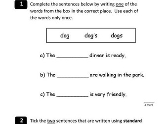 SPAG: Year 4 Vocabulary, Grammar and Punctuation Assessment