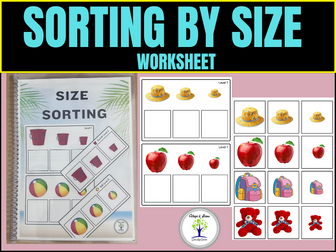Size Sorting  । Sort by Size Worksheet