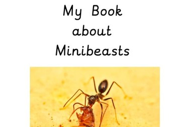 Mini-beast Writing Provision Books