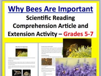 Why Bees Are Important - Science Reading Article - Grades 5-7