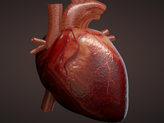 CCEA Life and Health Science Cardiovascular System Resources