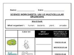 Science worksheets: Unicellular vs Multi-cellular organisms | Teaching