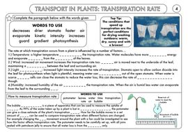 GCSE Plant Biology Worksheet Bundle by beckystoke - Teaching Resources ...