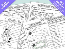 GCSE Biology: Cell Biology Worksheet Pack UPDATED ...