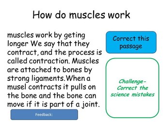 Muscles KS3 - differentited for all abilities.