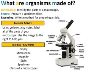 Topic 7A - What are Organisms Made of?
