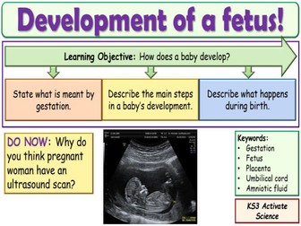 Development of a fetus KS3 Activate Science
