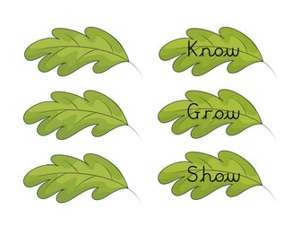 Know, Grow, Show Vocabulary Tree | Classroom Vocabulary Display | EYFS, KS1 & KS2