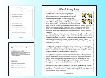 Life of Honey Bees Reading Comprehension Passage Printable Worksheet