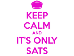 SATs Revision Pack