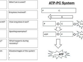 OCR Cambridge Sport Studies- L05 Energy systems Revision