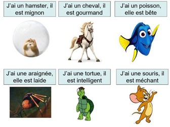 Description of animals in French