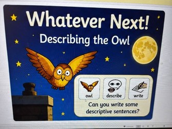 Whatever Next- Describing the Owl- SEN symbols included plus sheets