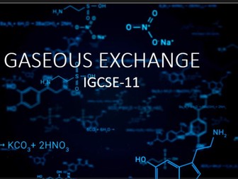 GASEOUS EXCHANGE IN HUMANS