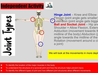 AQA - A&P - Muscular skeletal system lesson 3