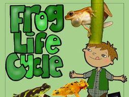 STEM - Be a Frog Detective - Life Cycle, Biomimicry, Inspiration for Ideas