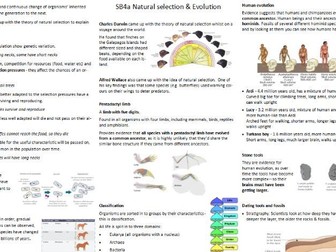 Edexcel SB4 Revision Mat - Natural selection and genetic modification