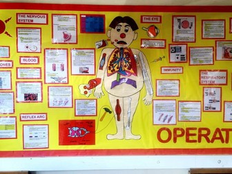 OPERATION Display- The human body