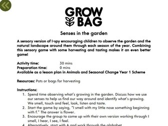 Senses in the garden. Sensory i-spy