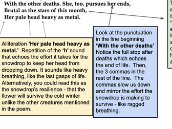 'Snowdrop' by Ted Hughes: analysis & tasks.