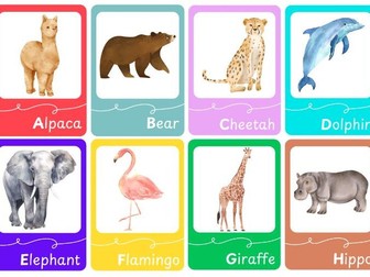 Animal Alphabet Flashcards