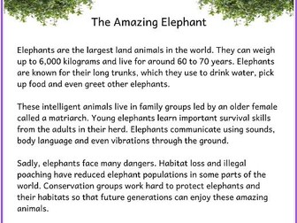 VIPERS Reading Comprehension Bundle | Animals | Elephant, Tiger & Dolphin |