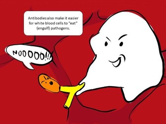 Immune system cartoons (KS3/KS4)