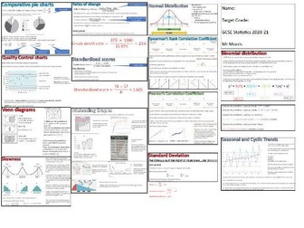 GCSE Statistics Revision Mats