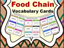 Food Chain Vocabulary Cards A Tool To Enrich The Vocab