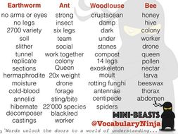 Mini-Beasts Topic Vocabulary Pack