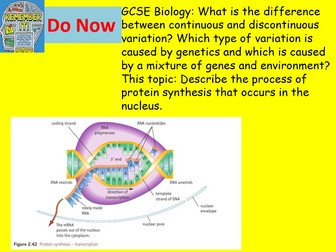 Edexcel A Level Biology Spec A Salters-Nuffield Topic 2 Genes and Health - Protein Structure