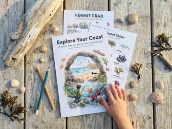 Seaside and Rockpools - Coasts KS1 KS2