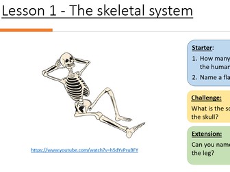 AQA GCSE PE - Chapter 1A - The Structure and Functions of the Musculoskeletal system