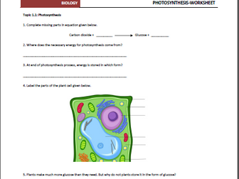 Photosynthesis Worksheet