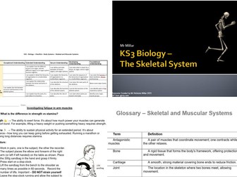 KS3 - Biology - Body Systems - Skeletal and Muscular System - Skeleton and muscles