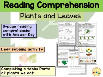 Photosynthesis Plants Leaves Reading Comprehension
